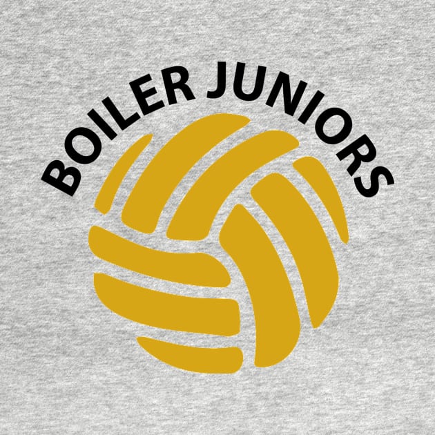 Big Volleyball Logo by BoilerJuniors